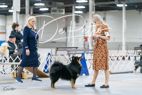 20231029-DSC00973