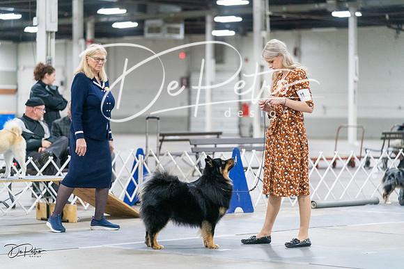 20231029-DSC00974