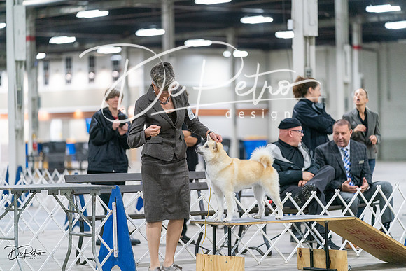 20231029-DSC00977