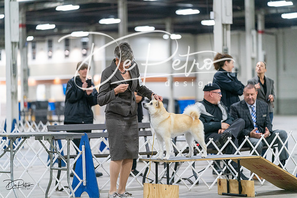 20231029-DSC00981
