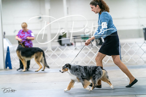 20231029-DSC01023
