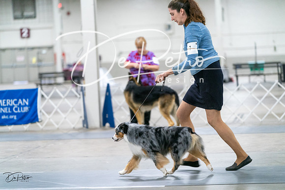 20231029-DSC01030