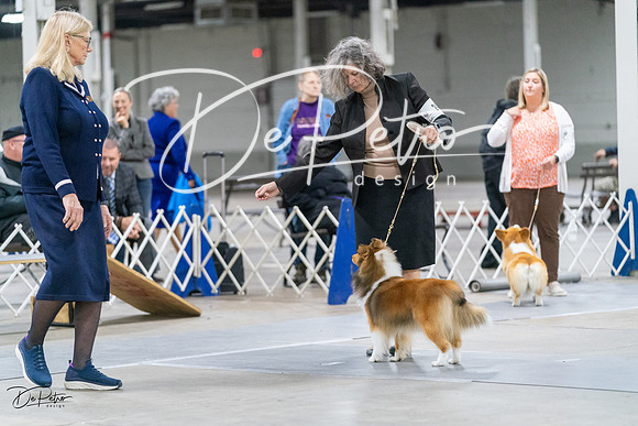 20231029-DSC01065
