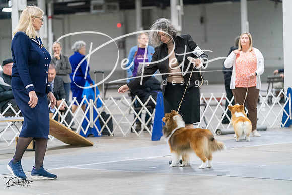 20231029-DSC01066