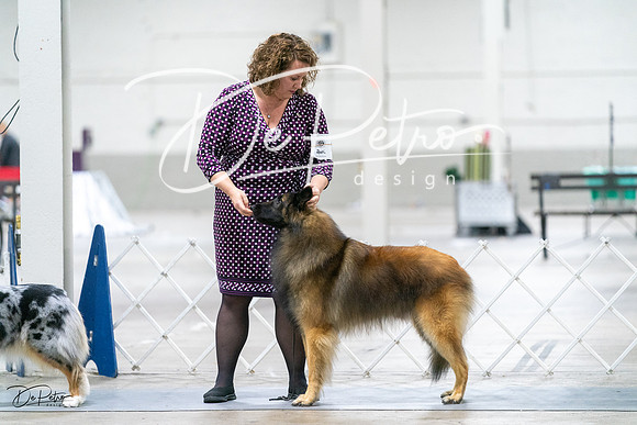20231029-DSC01127