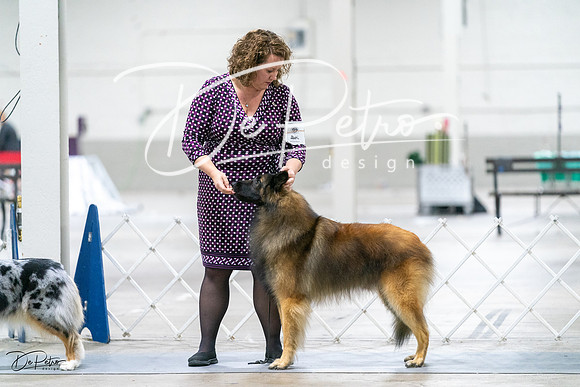 20231029-DSC01129