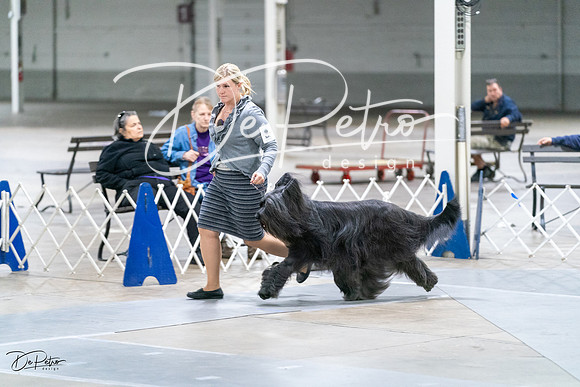 20231029-DSC01166
