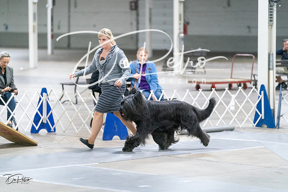 20231029-DSC01171