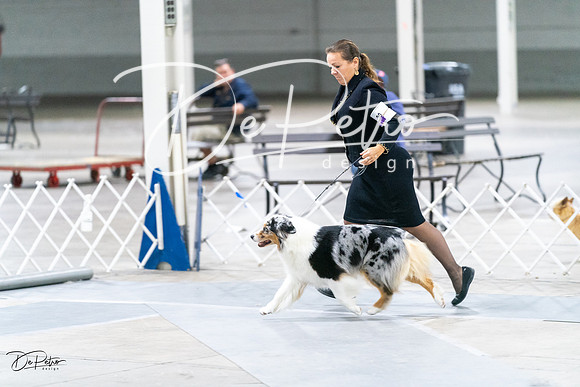 20231029-DSC01179
