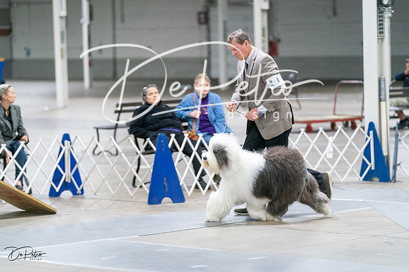 20231029-DSC01215