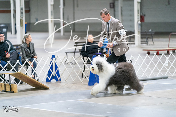 20231029-DSC01219