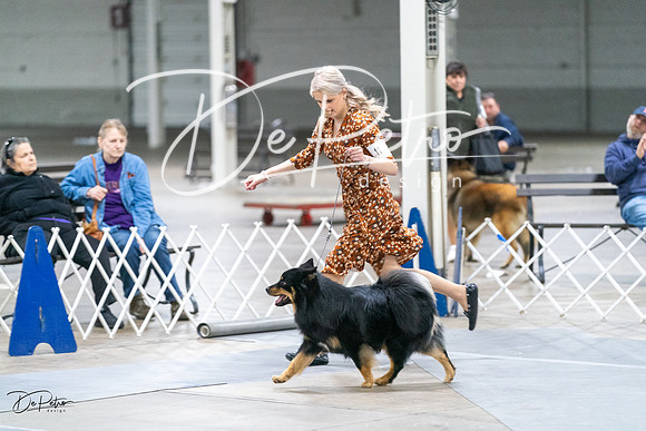 20231029-DSC01304