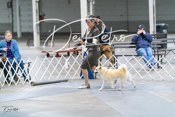 20231029-DSC01332