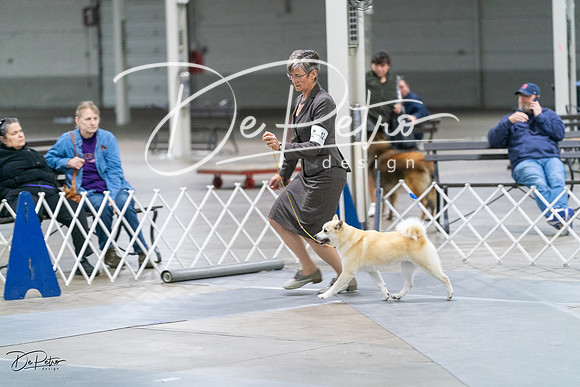 20231029-DSC01335