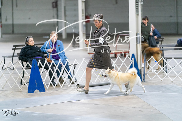 20231029-DSC01339