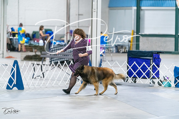 20231029-DSC00596