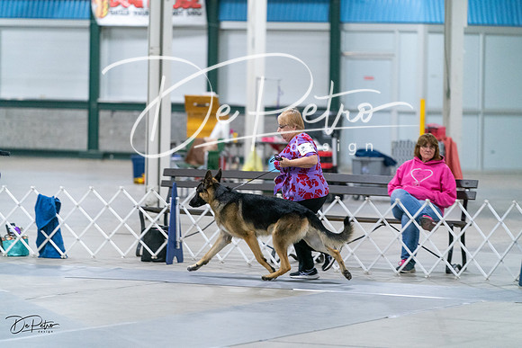20231029-DSC00659