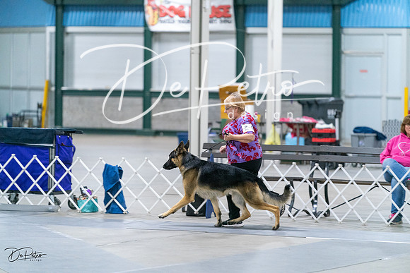 20231029-DSC00664