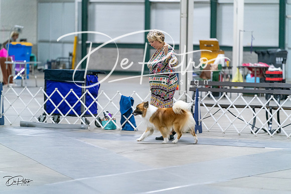 20231029-DSC00726