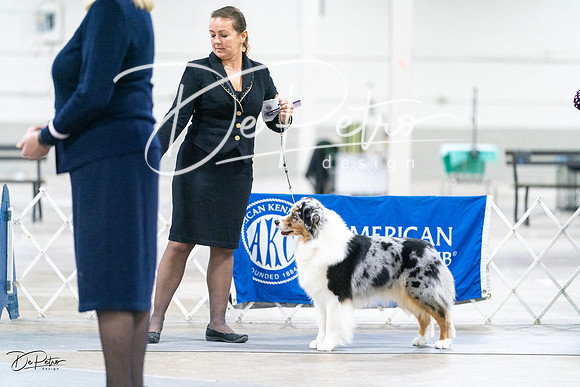 20231029-DSC00730