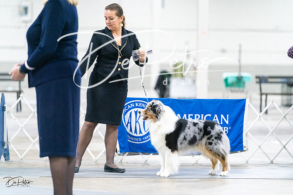 20231029-DSC00731