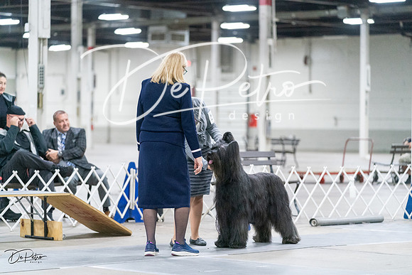 20231029-DSC00754