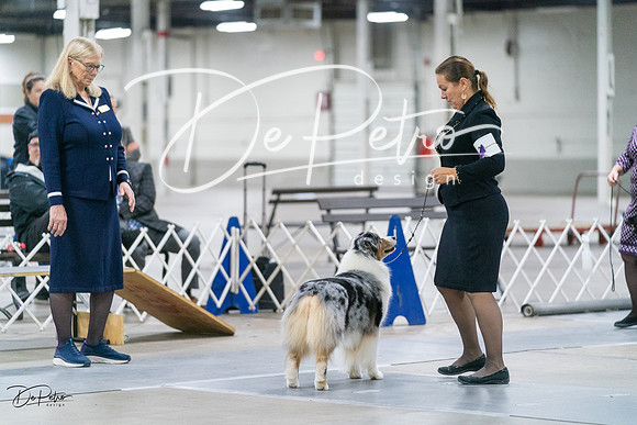 20231029-DSC00812