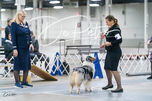20231029-DSC00814
