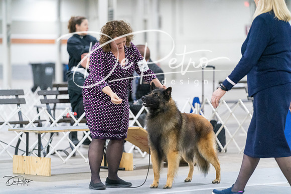20231029-DSC00824