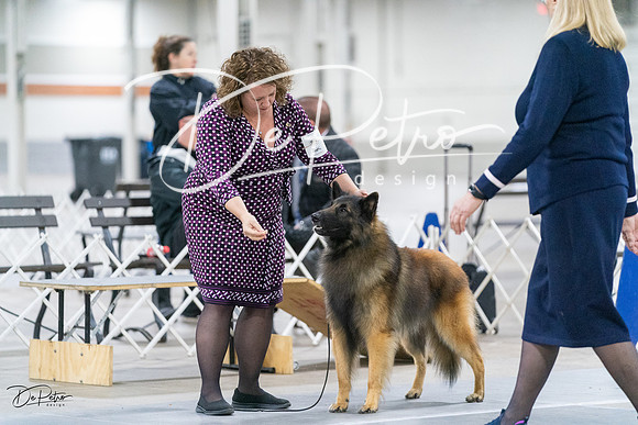 20231029-DSC00825