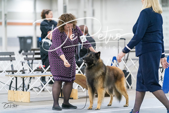 20231029-DSC00826