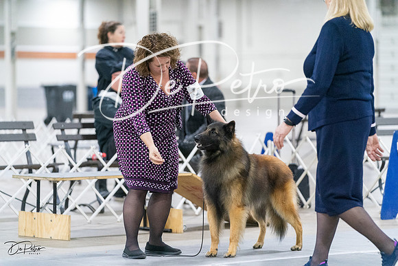 20231029-DSC00827