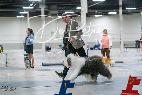 20231029-DSC00841