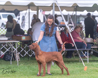20250626-DSC04375