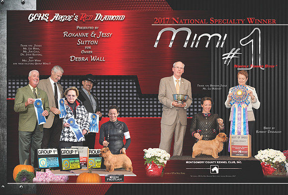 mimi spread rev