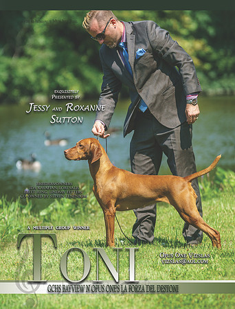 Toni oct 12 2
