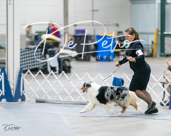 20231029-DSC01430