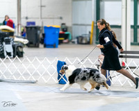20231029-DSC01426
