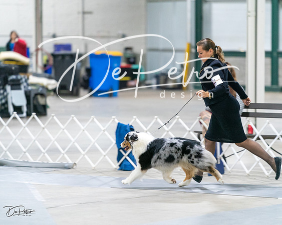 20231029-DSC01426
