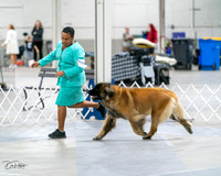 20231029-DSC01416