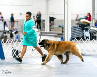 20231029-DSC01421