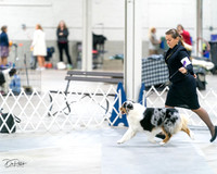 20231029-DSC01439