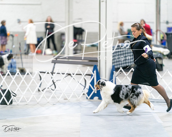 20231029-DSC01439
