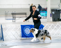 20231029-DSC01459