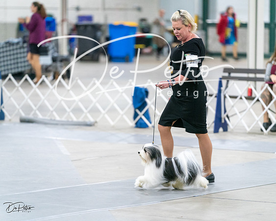 20231029-DSC01567