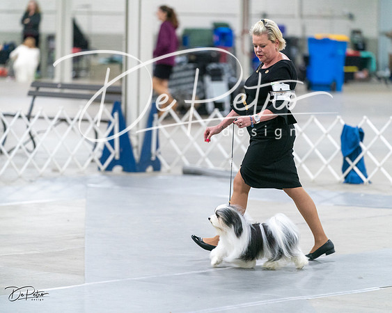 20231029-DSC01576