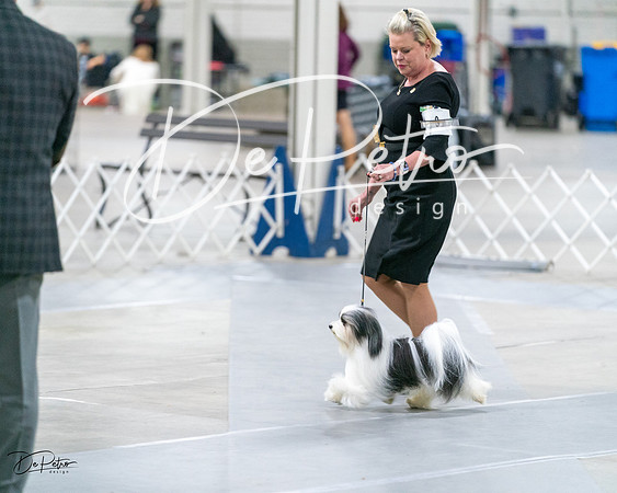 20231029-DSC01580