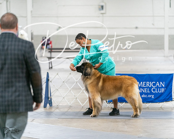 20231029-DSC01594