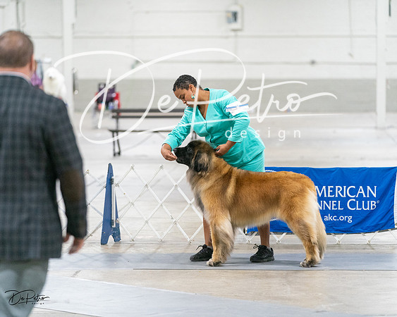 20231029-DSC01596