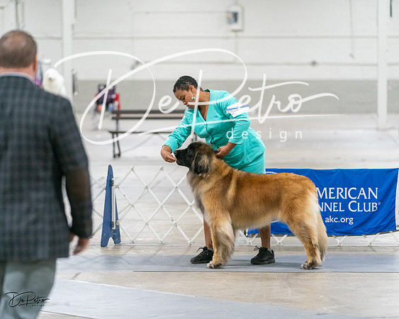 20231029-DSC01595